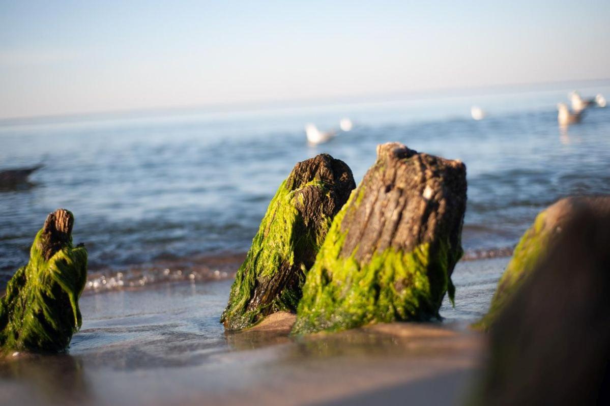Hotel Jantar Wellness & Spa Ustka Kültér fotó